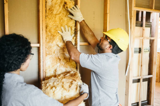 Professional Insulation Contractor in Scotts Valley, CA