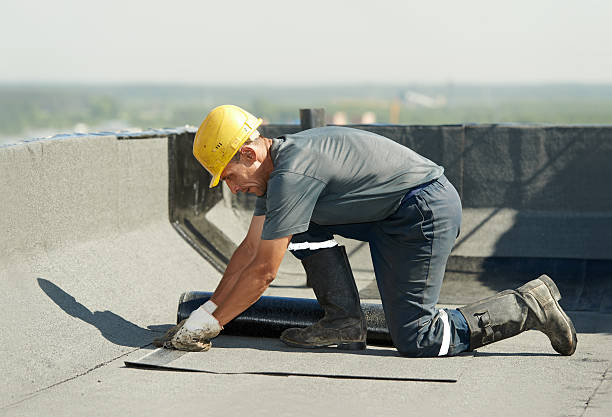 Best Crawl Space Insulation  in Scotts Valley, CA